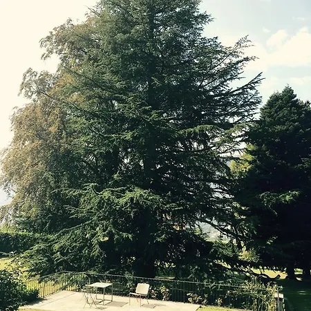Alpe Del Lupo * סן פדלה אינטלבי