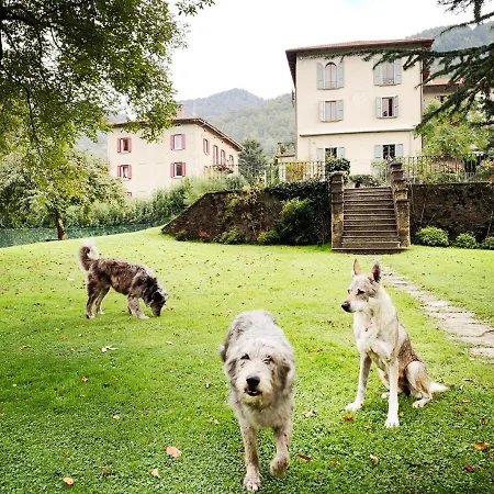 Appartement Alpe Del Lupo *